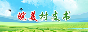 皖美村支書
