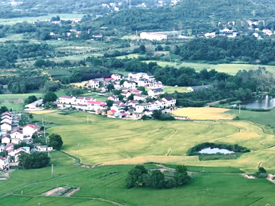 紅色茶鄉 詩意石塘